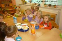 Září a říjen u Koťátek